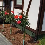 Wakacyjne U Marka Feriehus