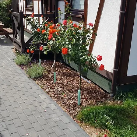 Wakacyjne U Marka * Pustkowo