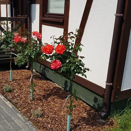 Wakacyjne U Marka 別荘