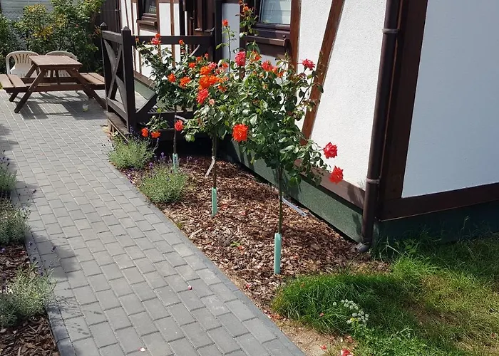 Wakacyjne U Marka * Pustkowo