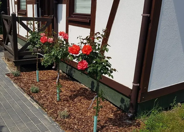 Wakacyjne U Marka Nyaraló